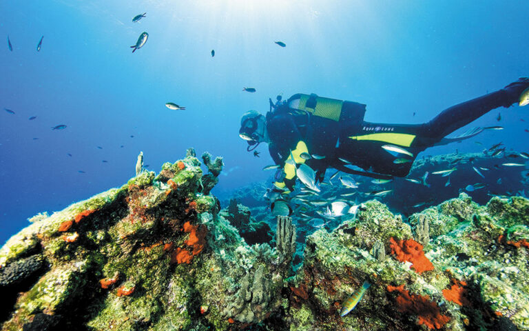 aria marine artificial reef posts