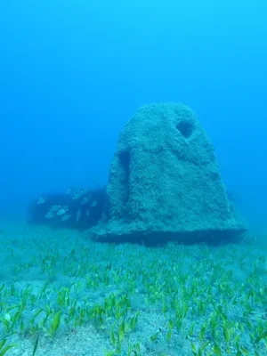 artificial_reef_5
